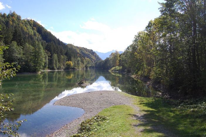 Auwaldsee 1