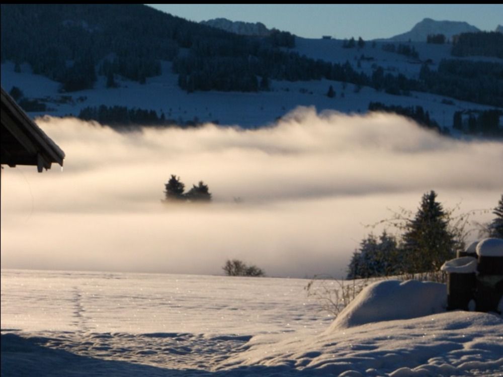 Rottachsee im Nebel