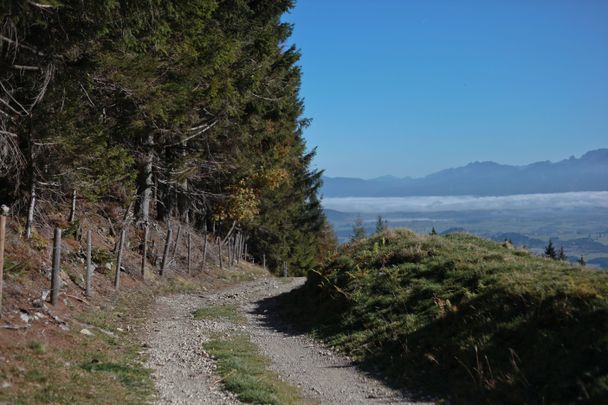 Zwischen Sportheim Böck und Kappeler Alp