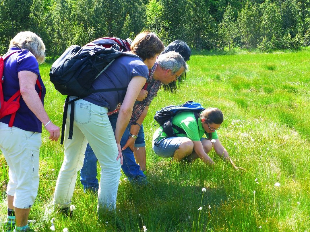 Führung mit Barbara Birk im Breitenmoos