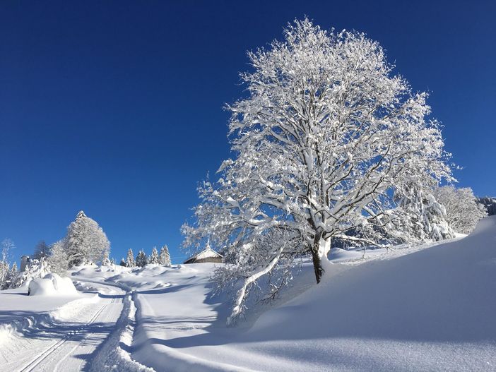 Winterbild
