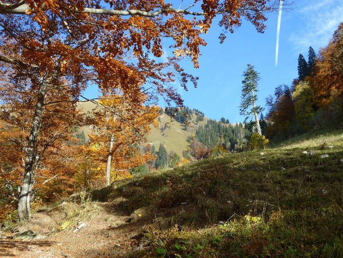 Hinterstein Nähe Giebelhaus
