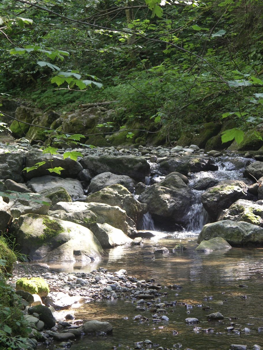 Romantischer Hausbach