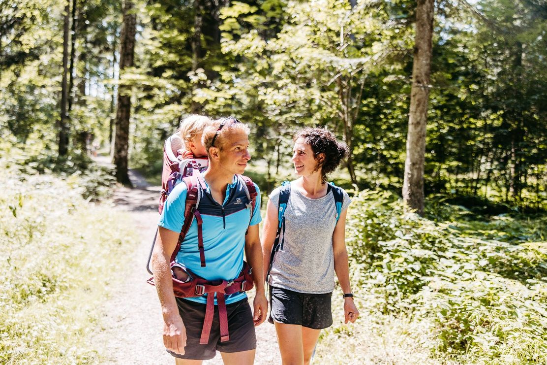 Moos & Quelle - aussichtsreich - Premiumspazierwanderweg Oberreute