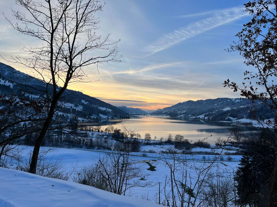 Blick auf den Großen Alpsee