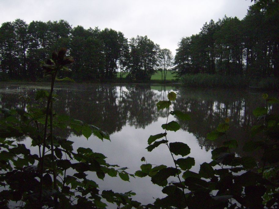 Der Hasenweiher