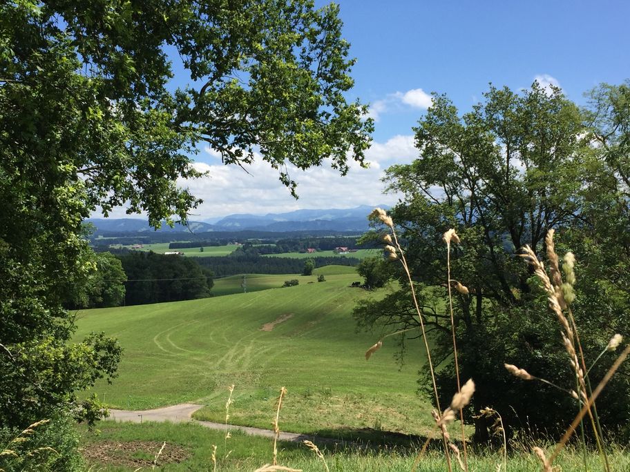 Der Blick auf die Alpen von Sechshöf aus.