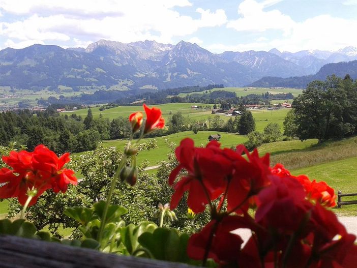 Aussicht vom Balkon