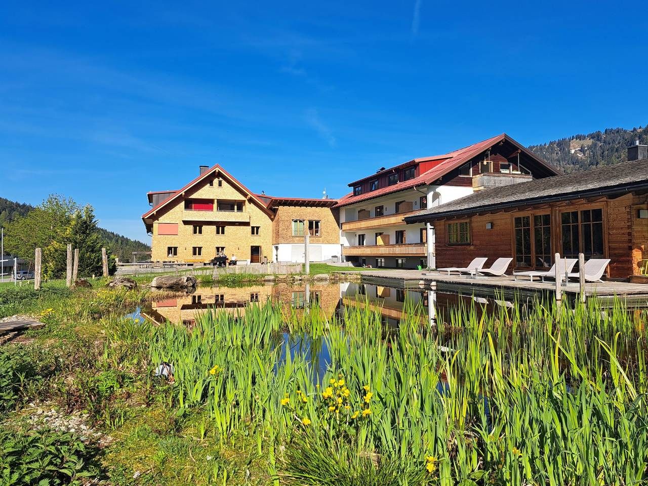 Almhof Lässer 1