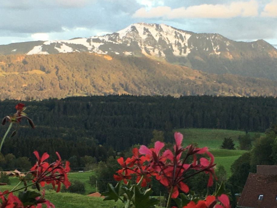 Blick von der Fewo Grünten (nur Ausschnitt)