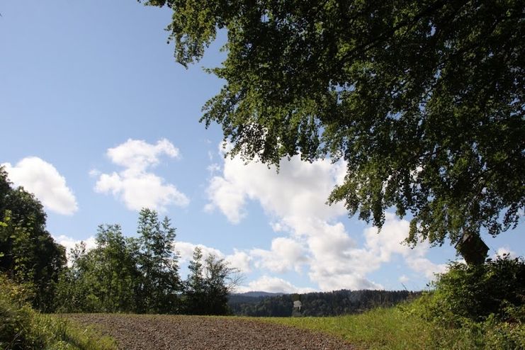 Wiederhofen-Ochsengasse-Trähers Alpe-Salmaser Höhe-Hirnbeinalpe-Untere Eibele-Wiederhofen
