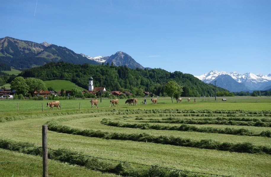 Erste Heu-Ernte im Mai