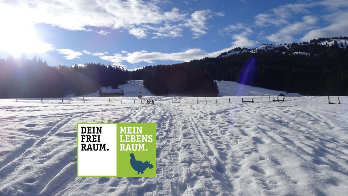 Von Balderschwang auf den Burstkopf