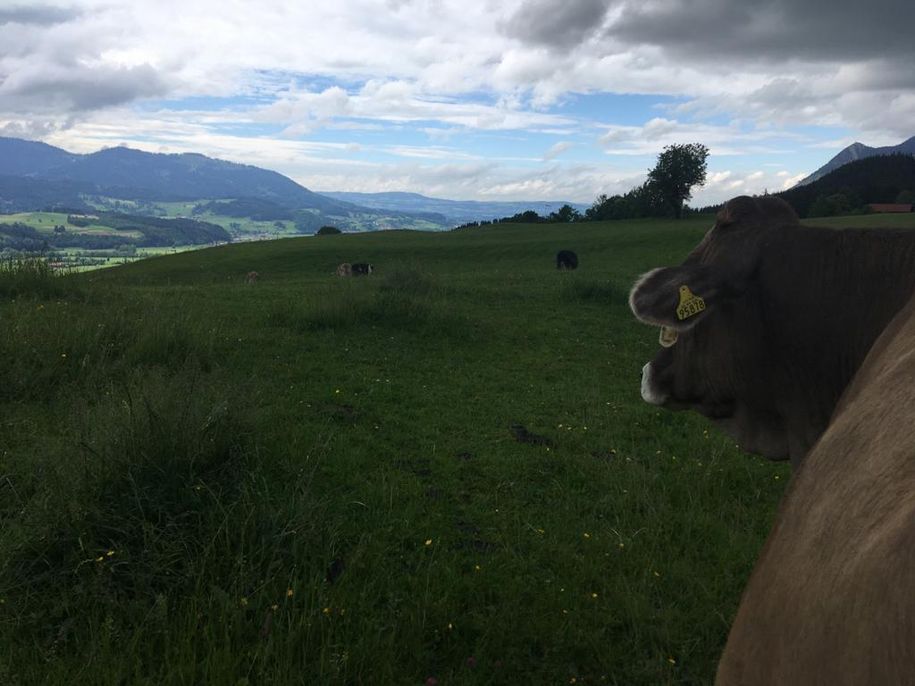 Sommer Ausblick ins Illertal