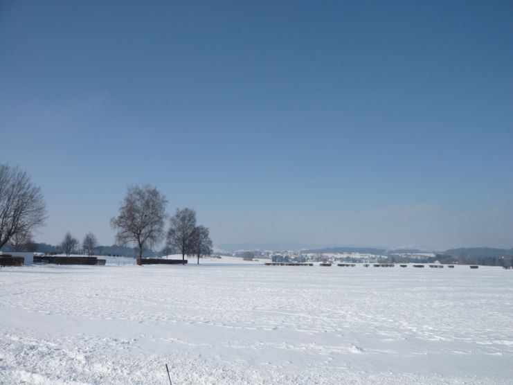 Blick nach Westen auf den Flugplatz; links die Friedhofsmauer