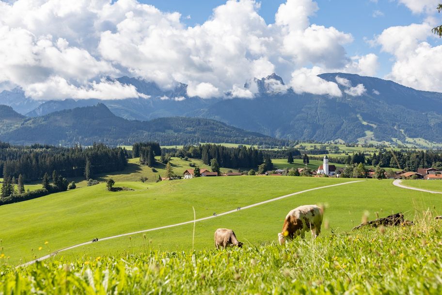 Blick auf Zell und den Breitenberg