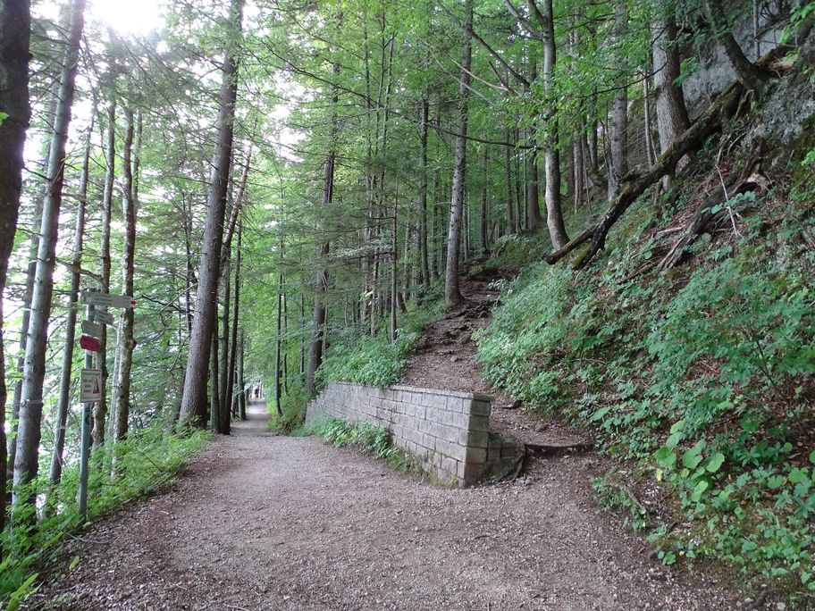 Abzweig vom Weißensee-Rundweg in Richtung Alatsee