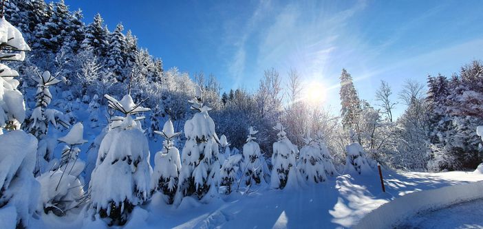 Hasengartenweg im Winter 2