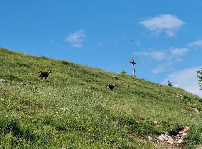 Wanderung mit Blick auf unser Gämse