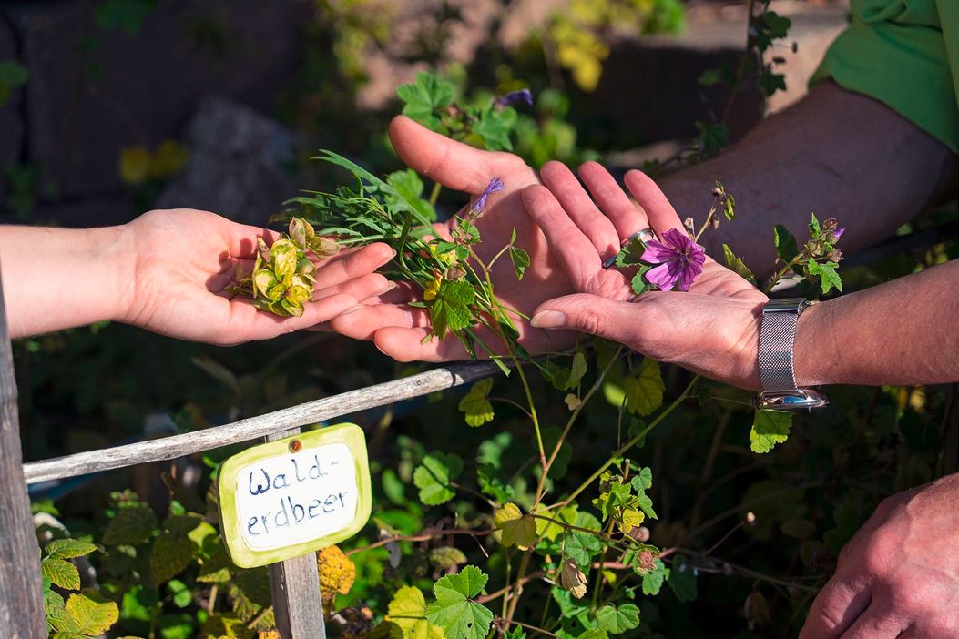 05_Sonnenklause©HeimatUnternehmen©Johanna_Zach