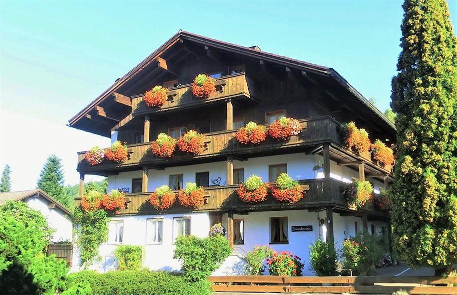Hausbild Sommer