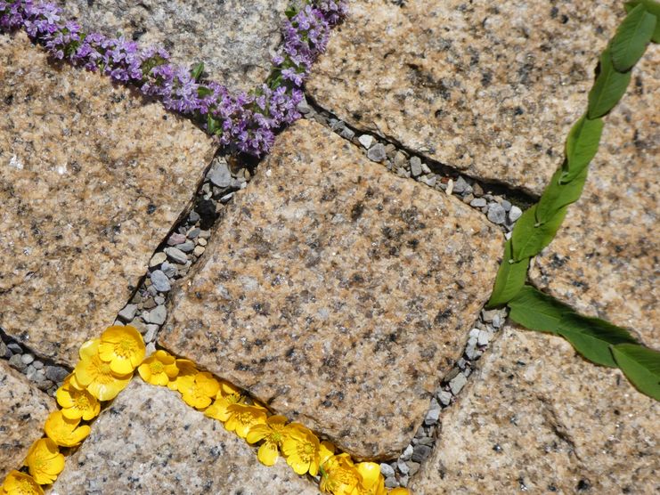 LandArt Primavera (30)