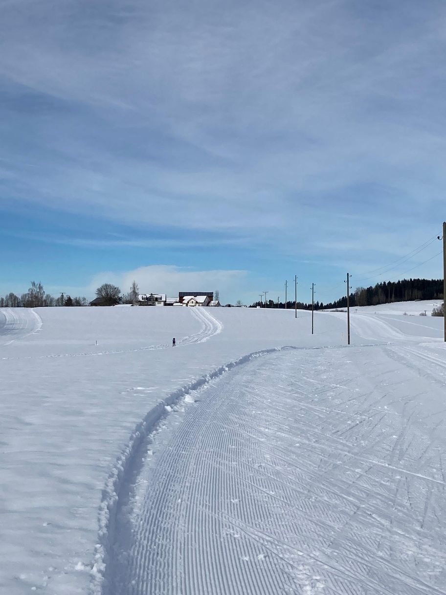 Flutlichtloipe Niederwangen