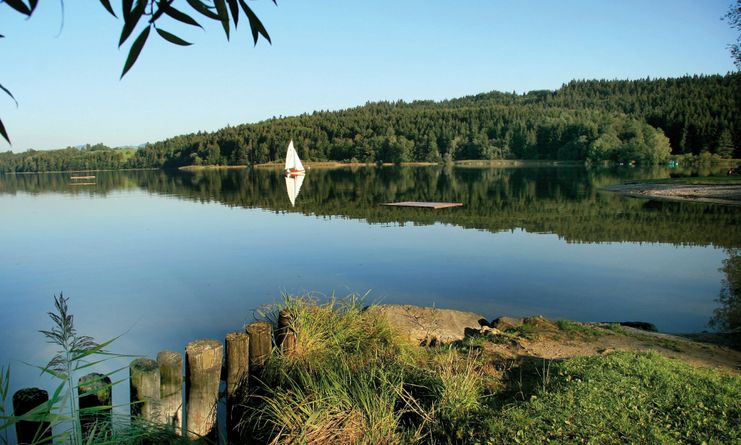 Rund um den Niedersonthofener See