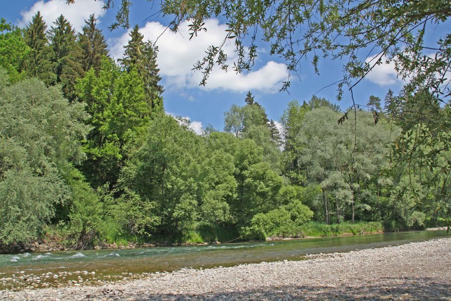 Sandbank an der Iller