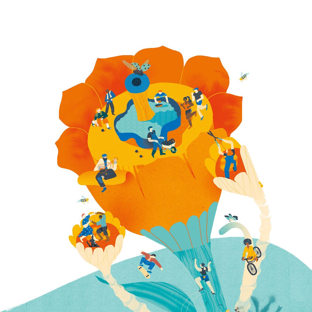 LGSWangen-IllustrierteBluete