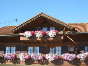Haus
