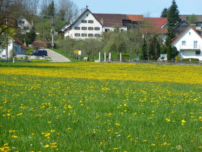 Obstgarten und Hof