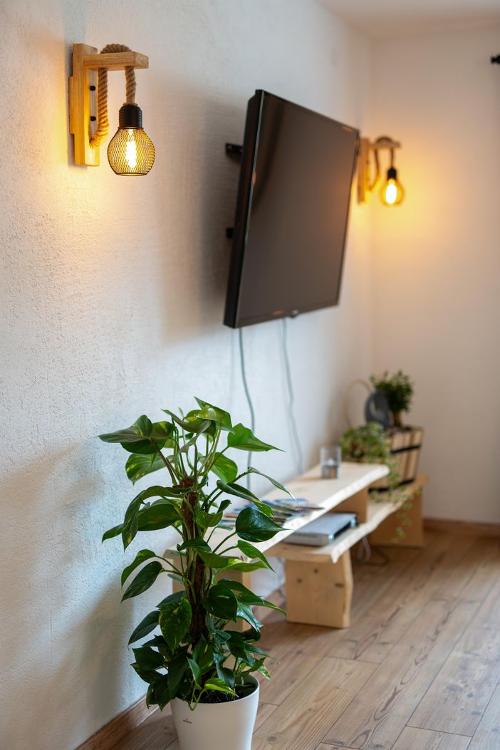 Fernseher