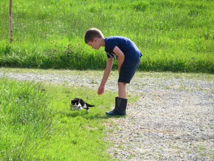 Kleiner Katzenfreund