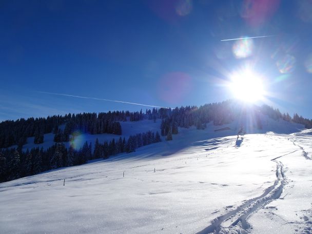 Naturpark Nagelfluhkette