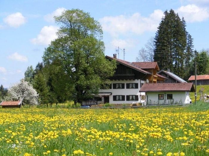 Rund ums Haus Blumenwiesen
