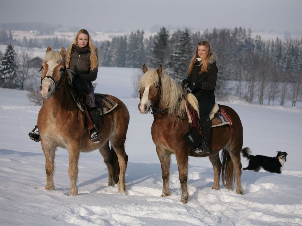 Reiten im Schnee