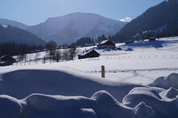 Blick zum Hochgrat