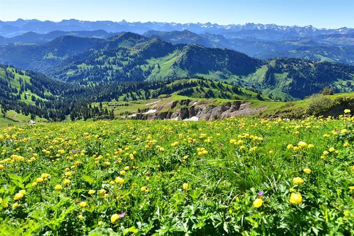Landschaftsaufnahme