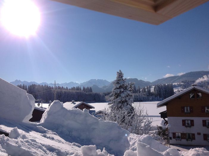 Dachfenster Blick