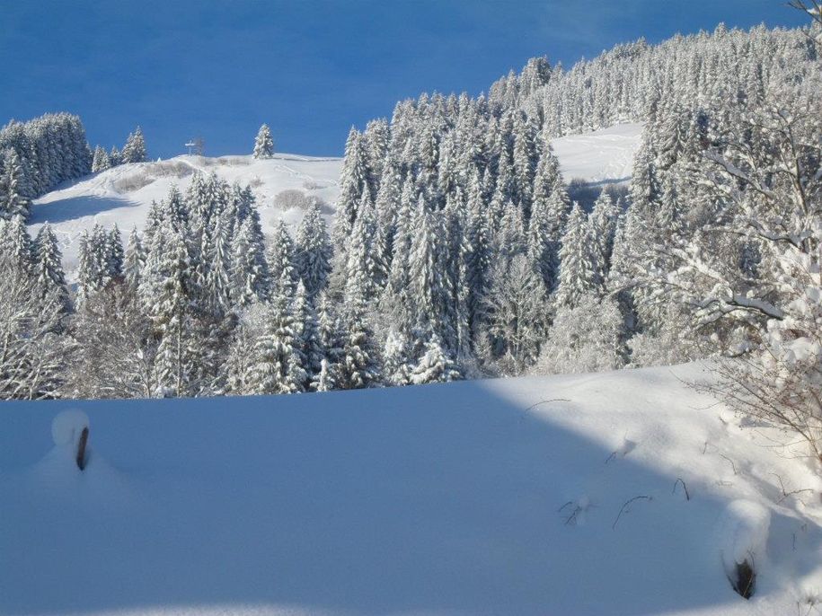 Winter 2019