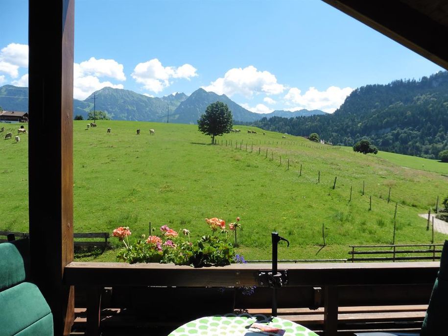 Nebelhornblick