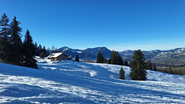 Alpe Kammeregg - Naturpark Nagelfluhkette