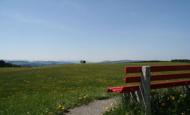 Ruhebank Isnyberg in Argenbühl