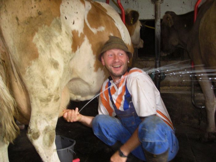 Bauer Karl beim Melken