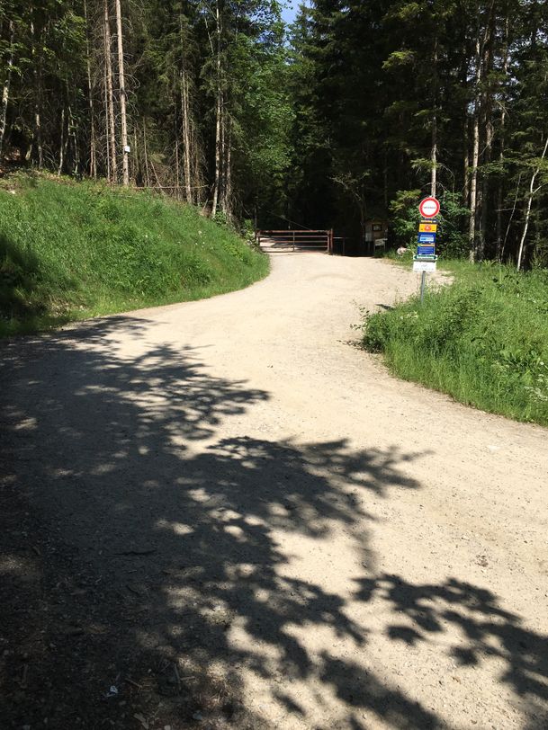 Fahrweg mit Weidegitter