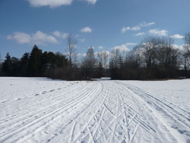 In der Moosloipe zwischen Wildpoldsried und Betzigau