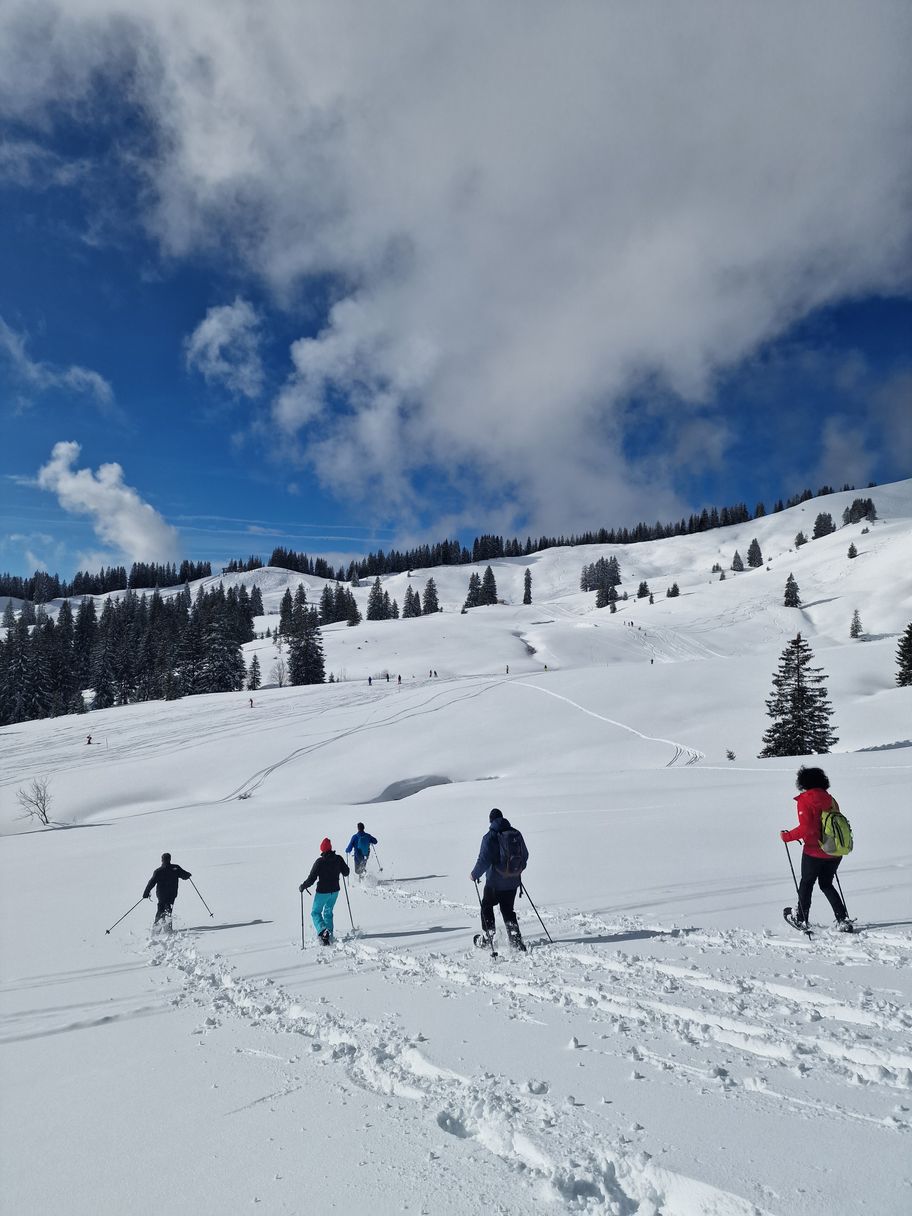 Verschneite Alphänge