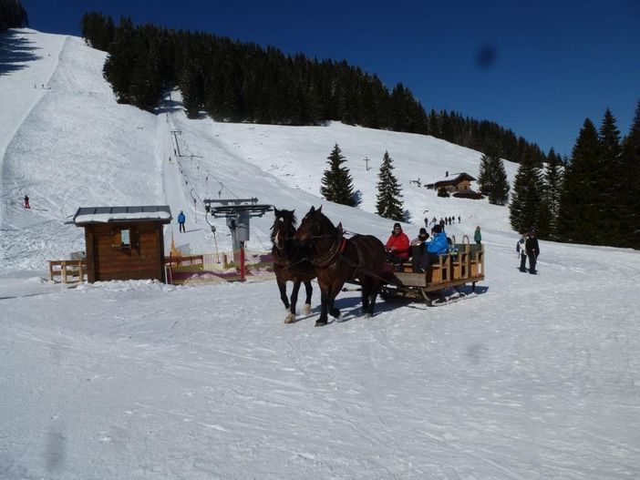 Pferdeschlitten am Hochbühl