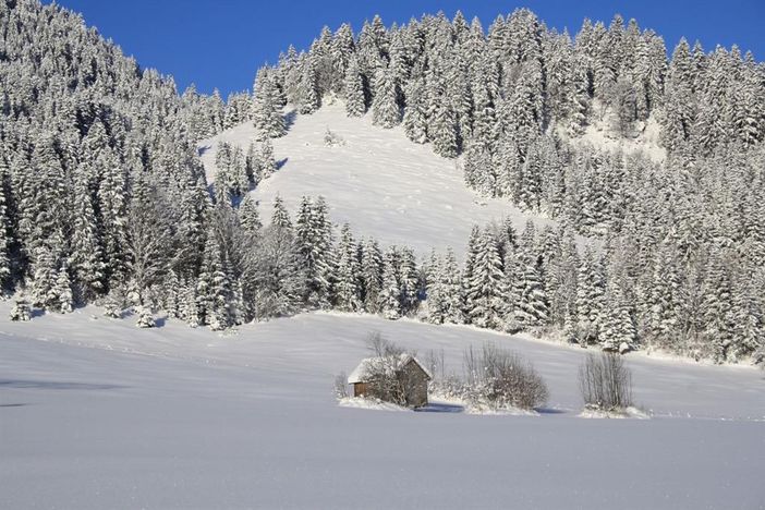 Winterlandschaft